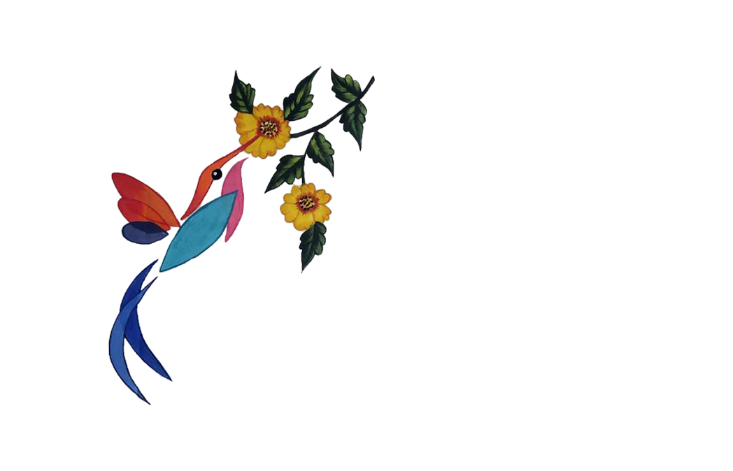 Hummingbirds - Image 4