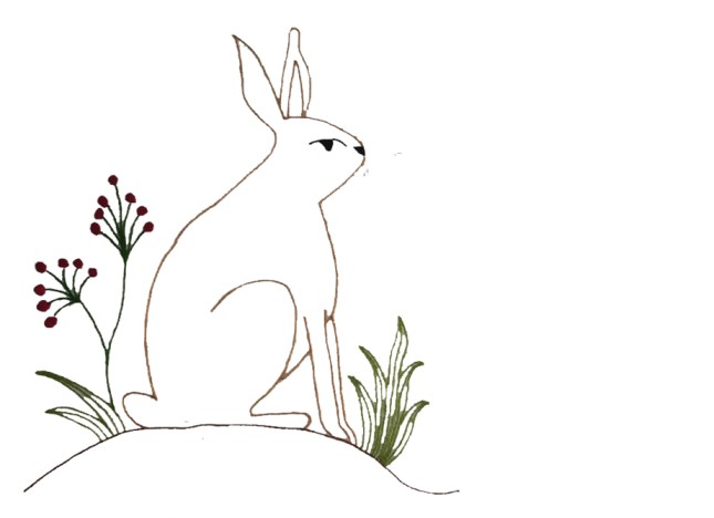 Bunnies in the meadow - Image 3